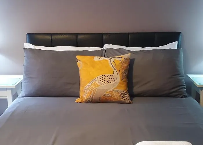 Modern 1 Bedroom Apartment Free Parking Wifi Near City Centre