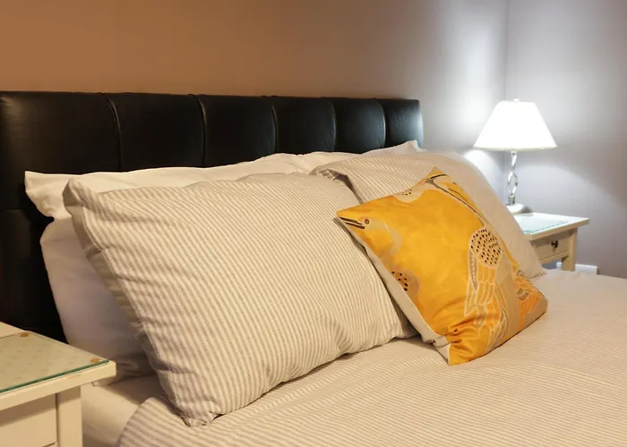 Modern 1 Bedroom Apartment Free Parking Wifi Near City Centre Apartment *